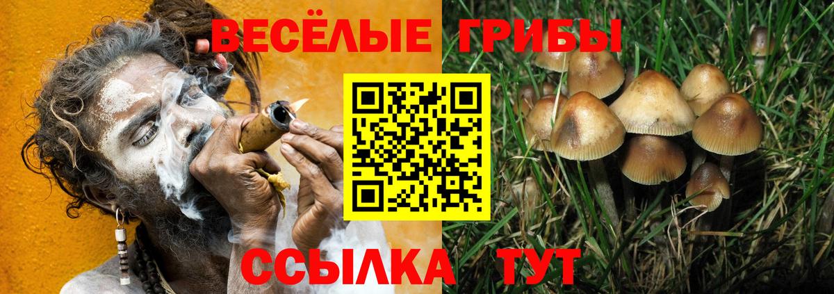 Шебекино  дарнет шоп  Вход с VPN  Галлюциногенные грибы Psilocybine cubensis 